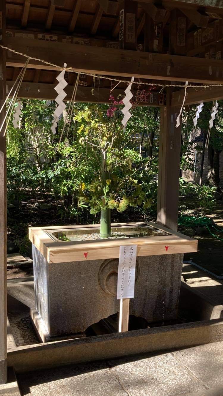 赤坂氷川神社 花手水 奉納 21 3 3 温室